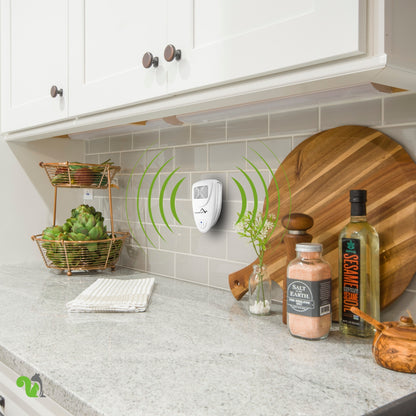 Squirrel Fortress Mini