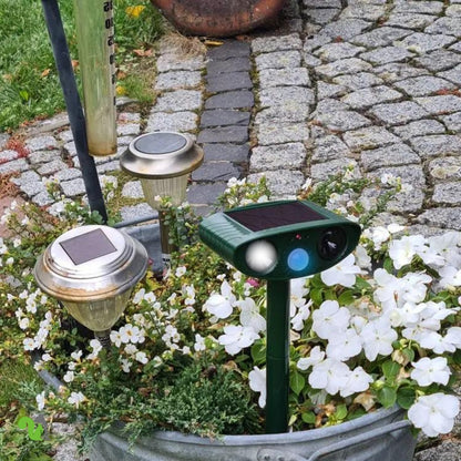 Squirrel Fortress Pro