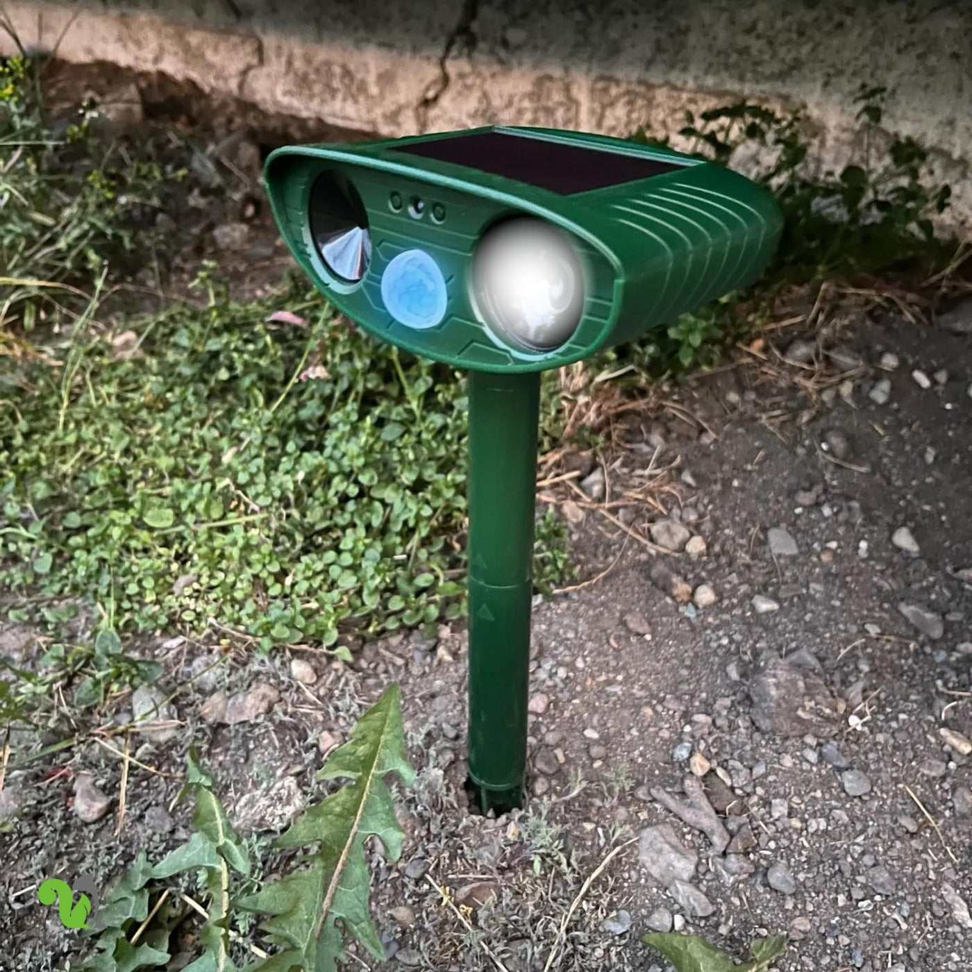 Squirrel Fortress Pro