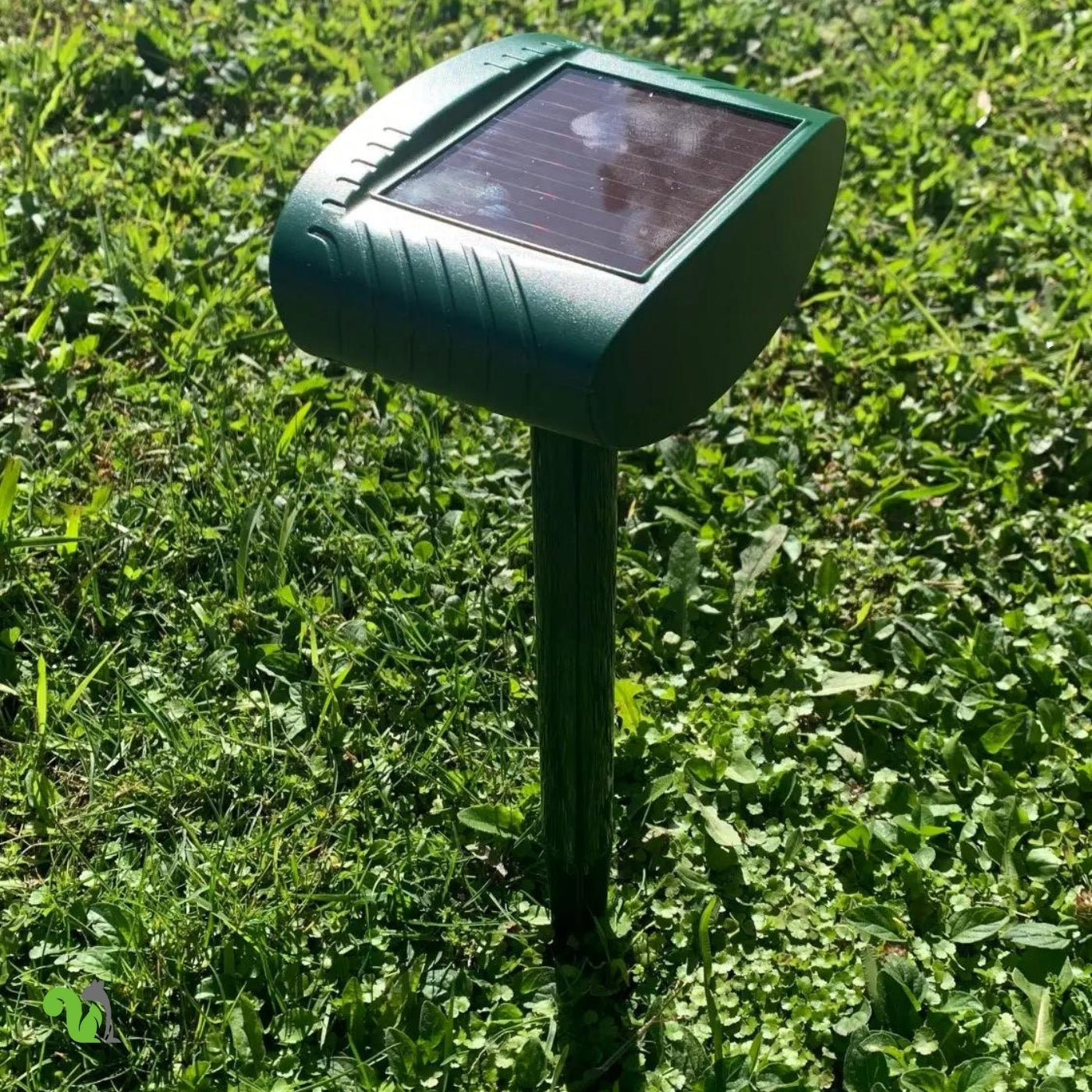 Squirrel Fortress Pro