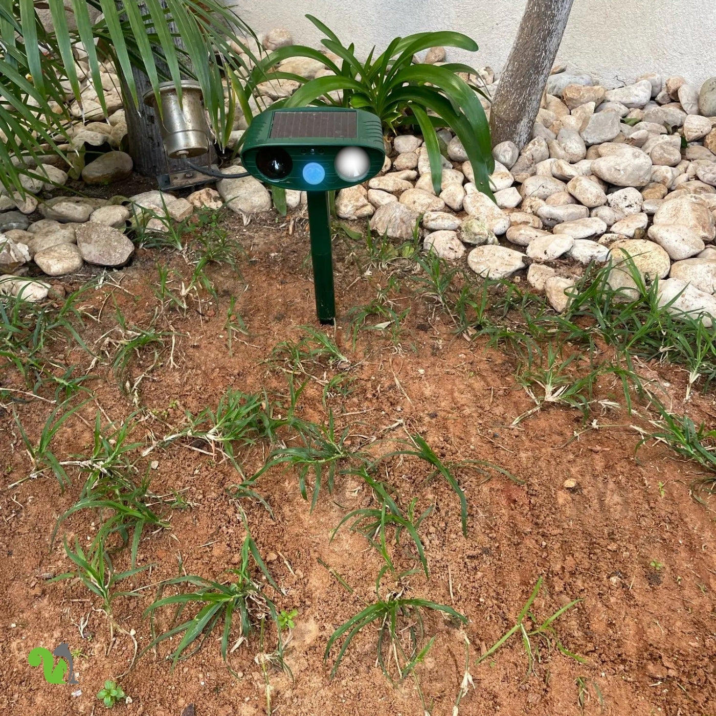 Squirrel Fortress Pro