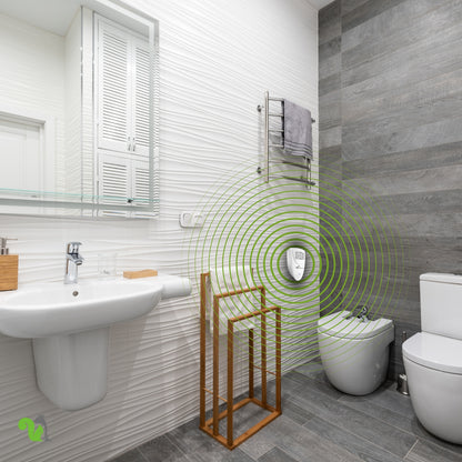 Squirrel Fortress Mini