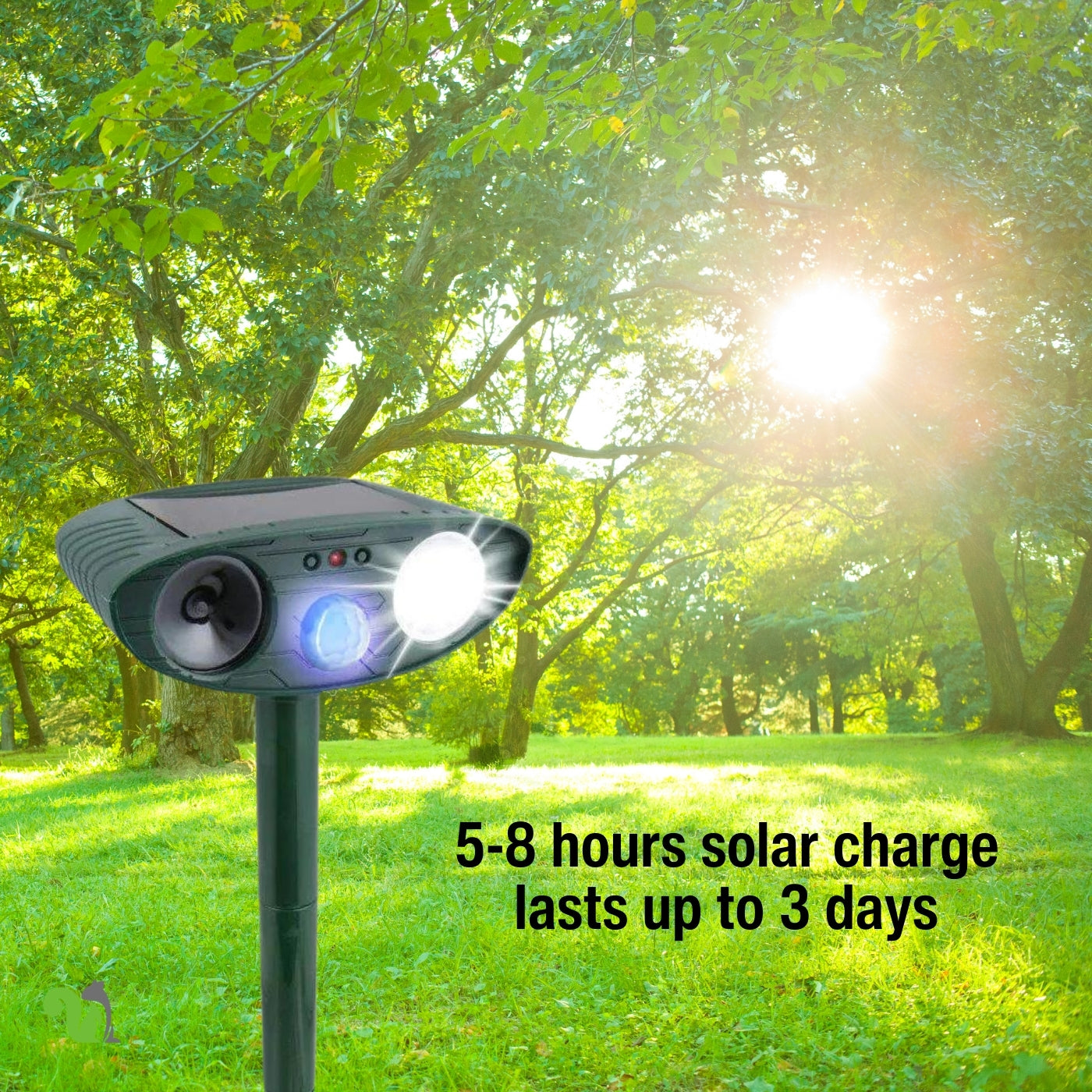 Squirrel Fortress Pro