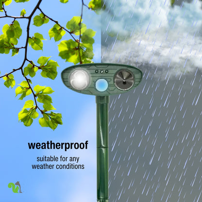 Squirrel Fortress Pro