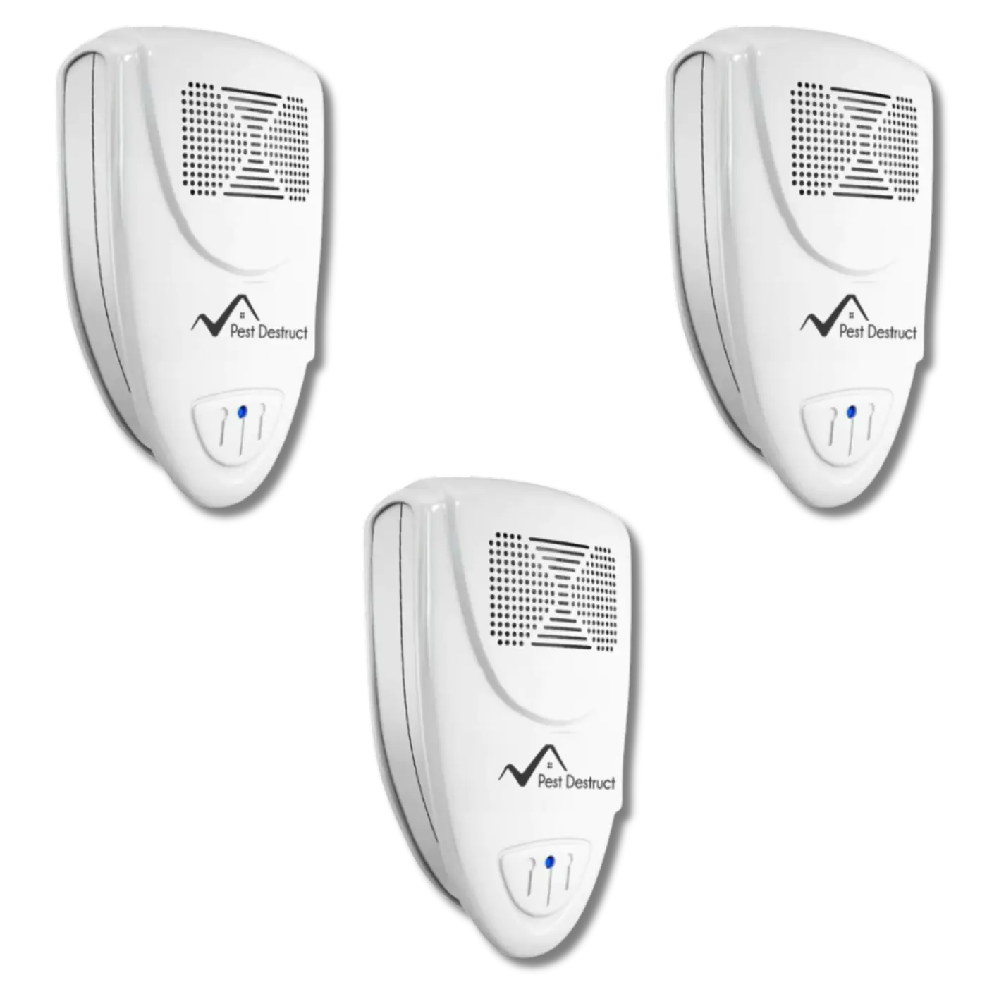 Squirrel Fortress Mini